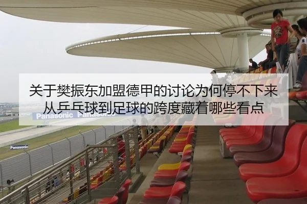 关于樊振东加盟德甲的讨论为何停不下来 从乒乓球到足球的跨度藏着哪些看点